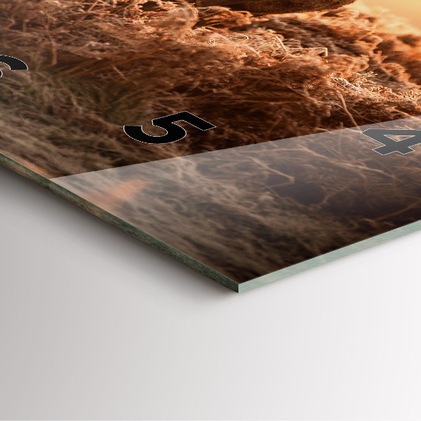 Ceas pătrat de perete din sticlă Căprioare la răsărit