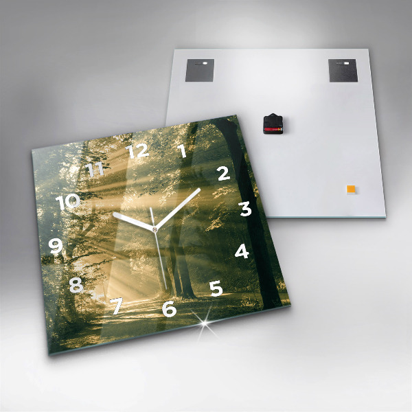 Ceas pătrat de perete din sticlă Raze de soare din pădure