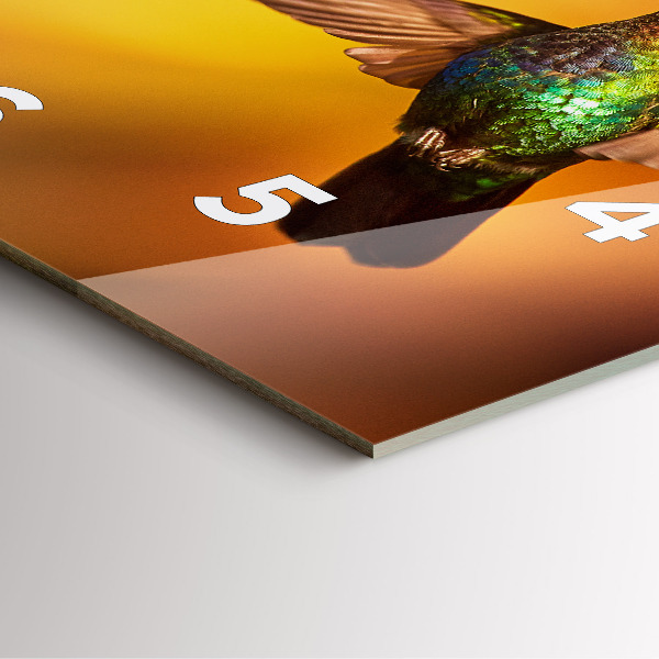 Ceas pătrat de perete din sticlă Pasăre colibri