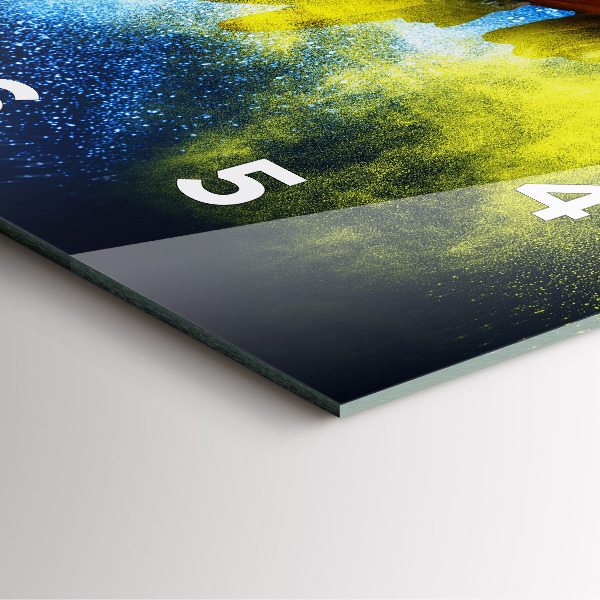 Ceas pătrat de perete din sticlă Papagal colorat