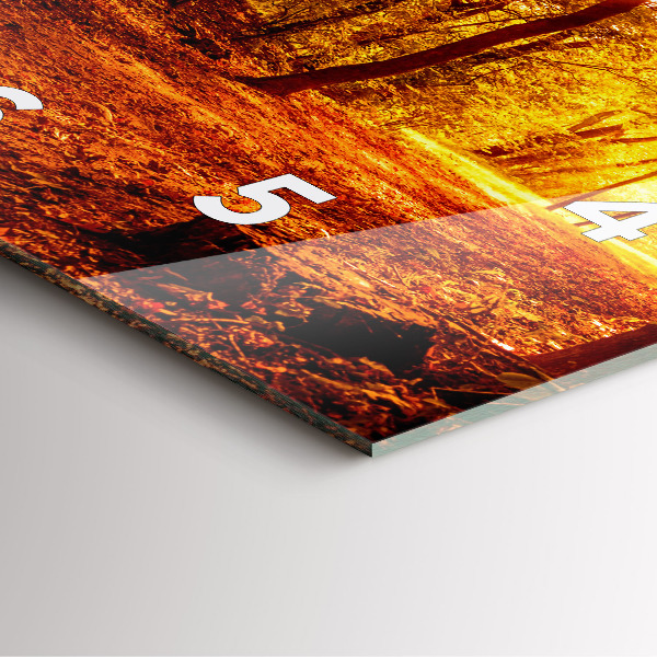 Ceas pătrat de perete din sticlă Peisaj de pădure la soare