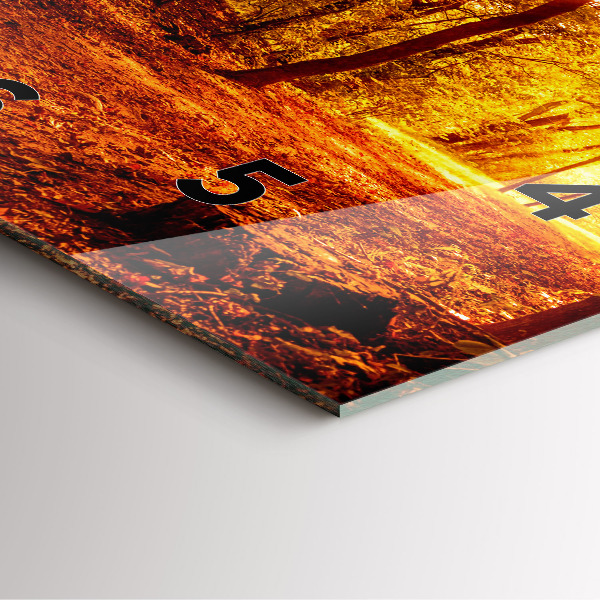 Ceas pătrat de perete din sticlă Peisaj de pădure la soare