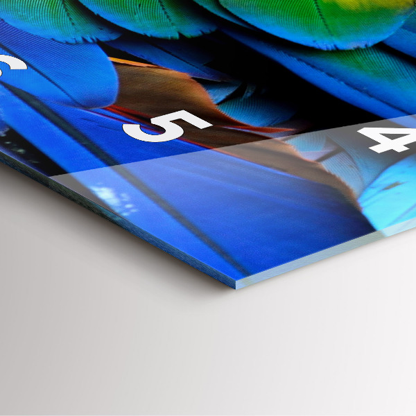 Ceas pătrat de perete din sticlă Aripi de pasăre colorate