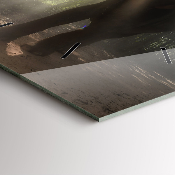 Ceas pătrat de perete din sticlă Elefant în junglă