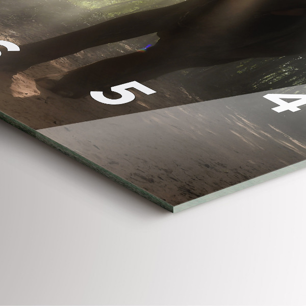 Ceas pătrat de perete din sticlă Elefant în junglă