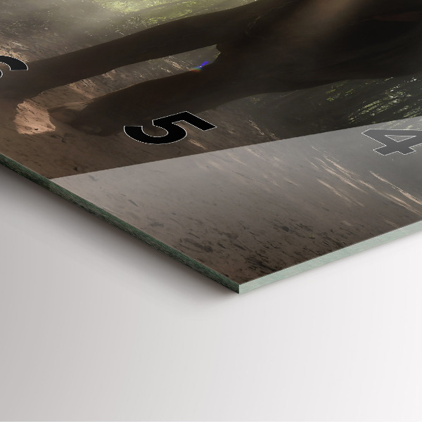 Ceas pătrat de perete din sticlă Elefant în junglă