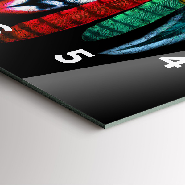 Ceas pătrat de perete din sticlă Pene de păsări colorate