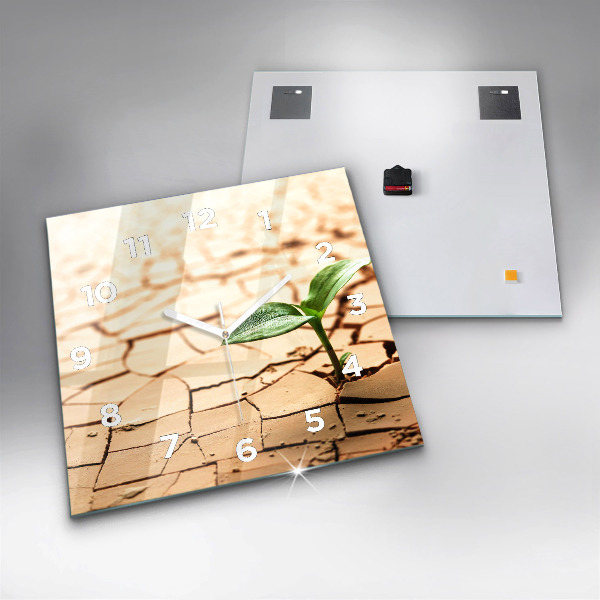 Ceas pătrat de perete din sticlă Plantați în sol uscat
