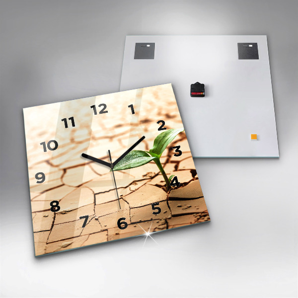 Ceas pătrat de perete din sticlă Plantați în sol uscat