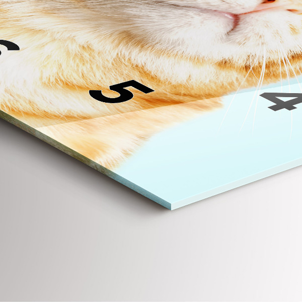 Ceas pătrat de perete din sticlă Pisică amuzantă cu ochelari