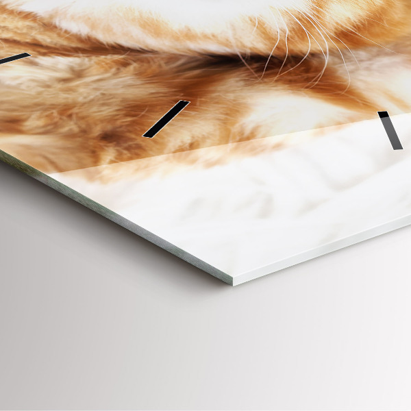 Ceas pătrat de perete din sticlă Pisicuta adormita