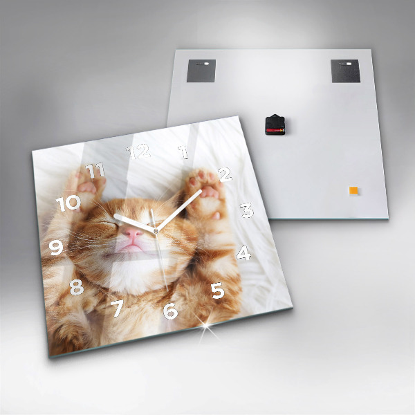 Ceas pătrat de perete din sticlă Pisicuta adormita