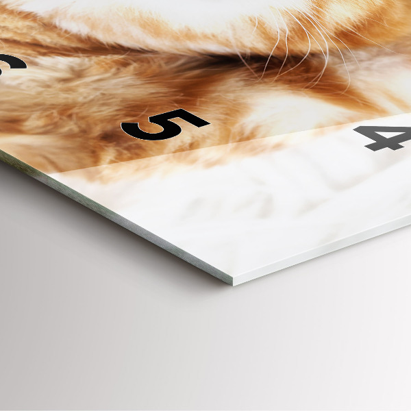 Ceas pătrat de perete din sticlă Pisicuta adormita