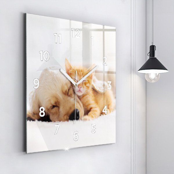 Ceas pătrat de perete din sticlă Pisică și câine adormit