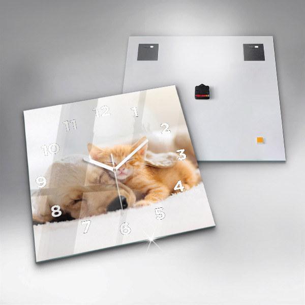 Ceas pătrat de perete din sticlă Pisică și câine adormit