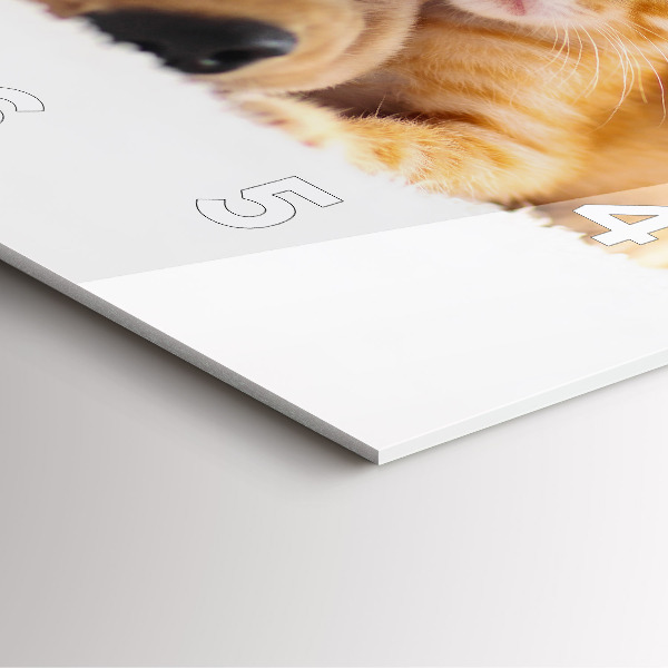 Ceas pătrat de perete din sticlă Pisică și câine adormit