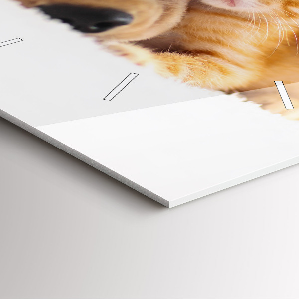 Ceas pătrat de perete din sticlă Pisică și câine adormit