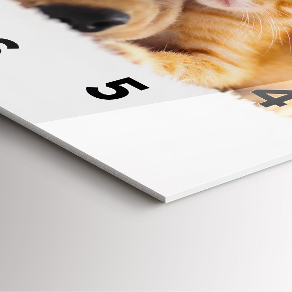 Ceas pătrat de perete din sticlă Pisică și câine adormit