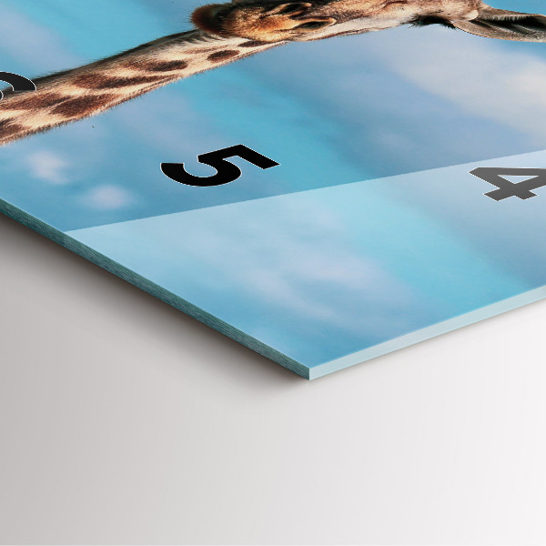 Ceas pătrat de perete din sticlă Capul unei girafe pe cer