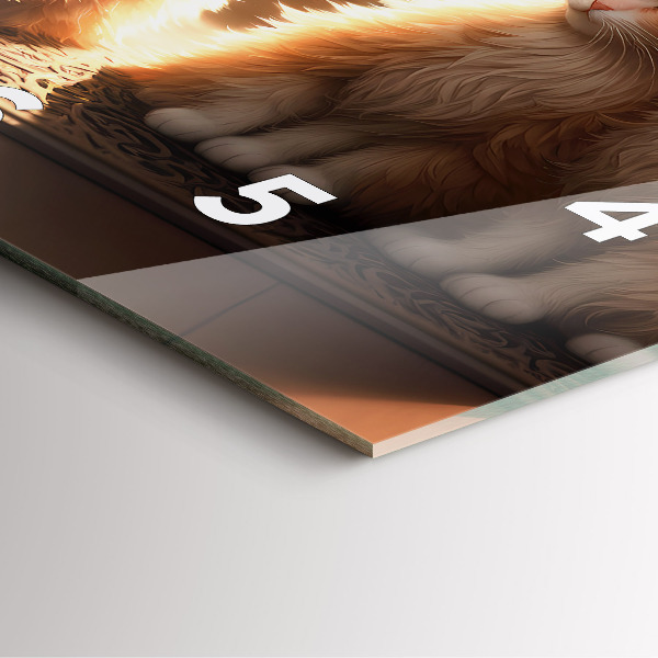 Ceas pătrat de perete din sticlă Patru pisoi la soare