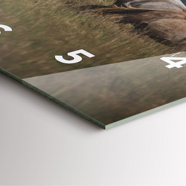 Ceas pătrat de perete din sticlă Caii în galop