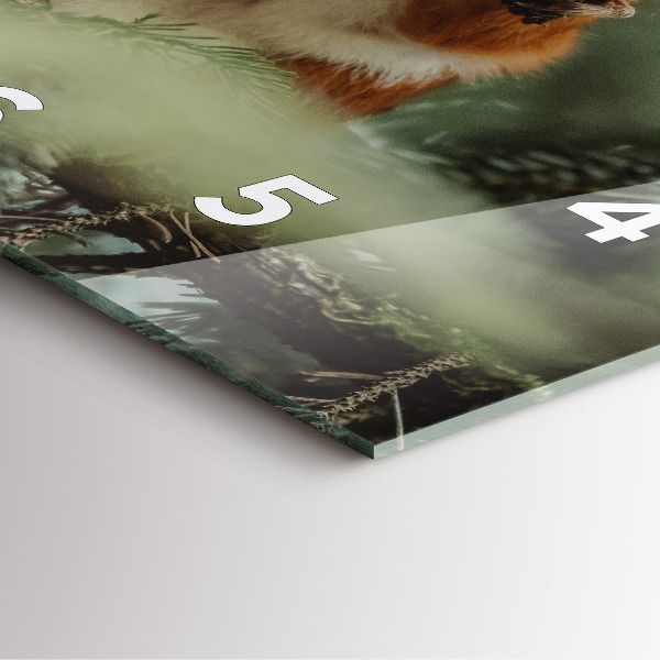 Ceas pătrat de perete din sticlă Veveriță și natură sălbatică