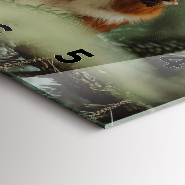 Ceas pătrat de perete din sticlă Veveriță și natură sălbatică