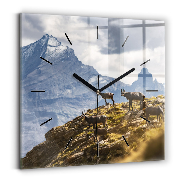 Ceas pătrat de perete din sticlă Capră în Valea Aostei