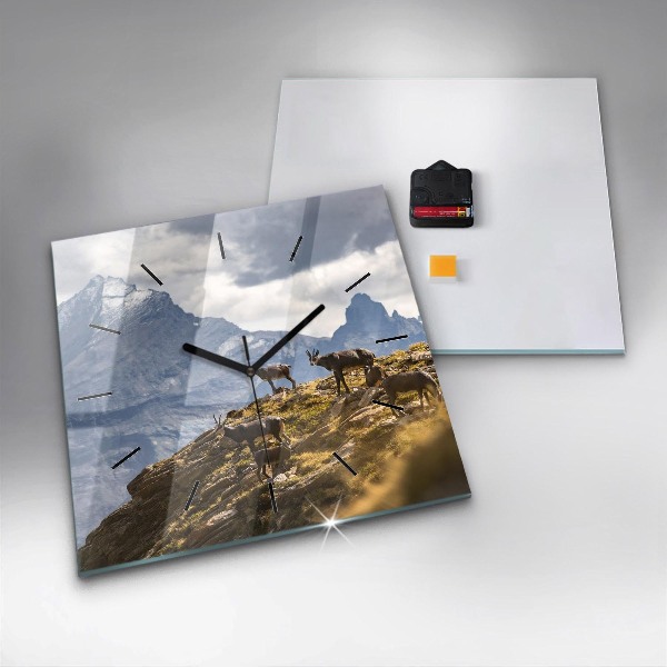 Ceas pătrat de perete din sticlă Capră în Valea Aostei