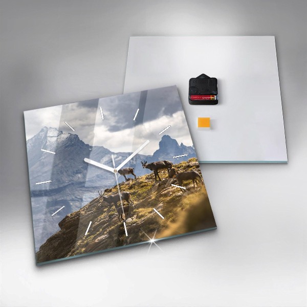 Ceas pătrat de perete din sticlă Capră în Valea Aostei