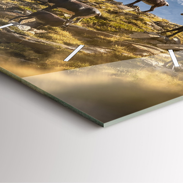 Ceas pătrat de perete din sticlă Capră în Valea Aostei