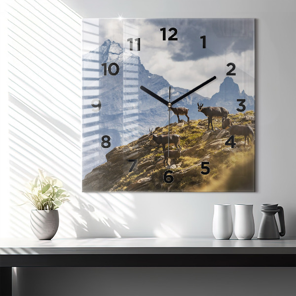 Ceas pătrat de perete din sticlă Capră în Valea Aostei