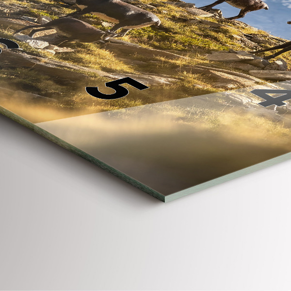 Ceas pătrat de perete din sticlă Capră în Valea Aostei