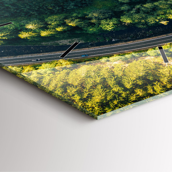 Ceas pătrat de perete din sticlă Pădure din vedere de ochi de pasăre