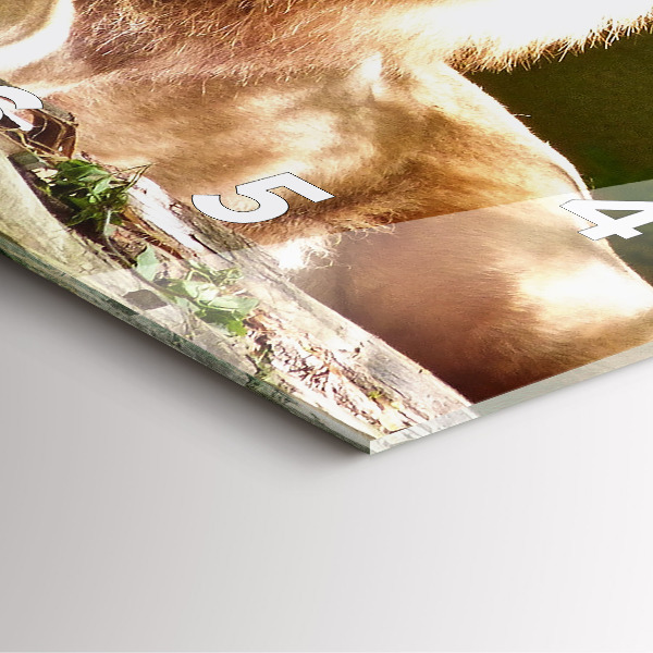 Ceas pătrat de perete din sticlă Portretul unui leu