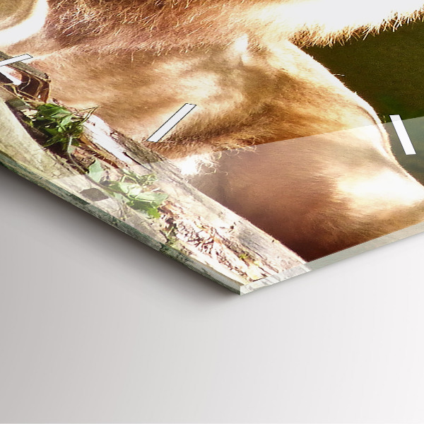 Ceas pătrat de perete din sticlă Portretul unui leu