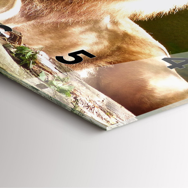 Ceas pătrat de perete din sticlă Portretul unui leu