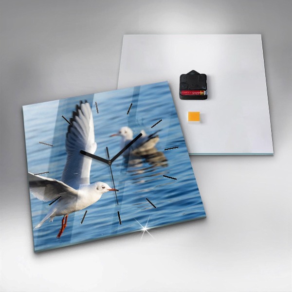 Ceas pătrat de perete din sticlă Pescăruși în Gdynia