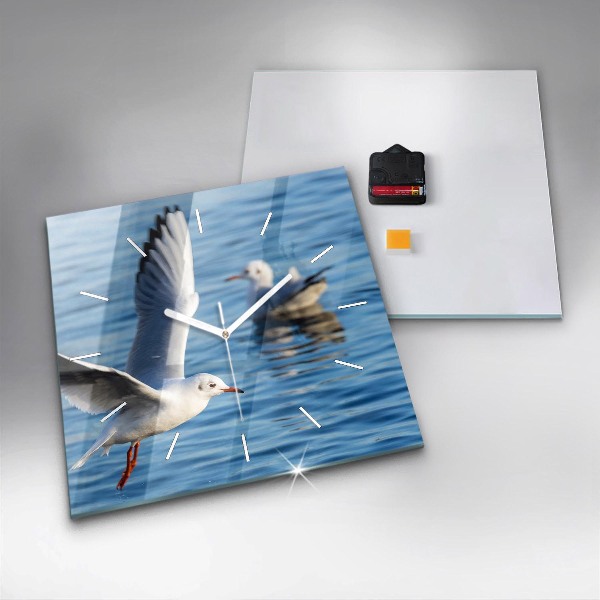 Ceas pătrat de perete din sticlă Pescăruși în Gdynia