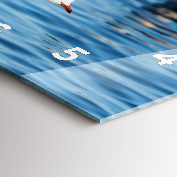 Ceas pătrat de perete din sticlă Pescăruși în Gdynia