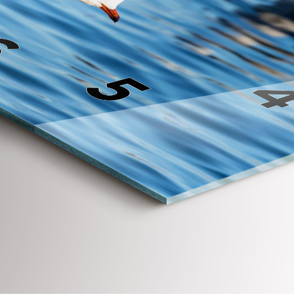 Ceas pătrat de perete din sticlă Pescăruși în Gdynia