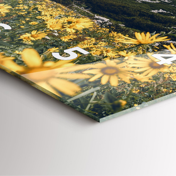 Ceas pătrat de perete din sticlă Lunca de flori în munți