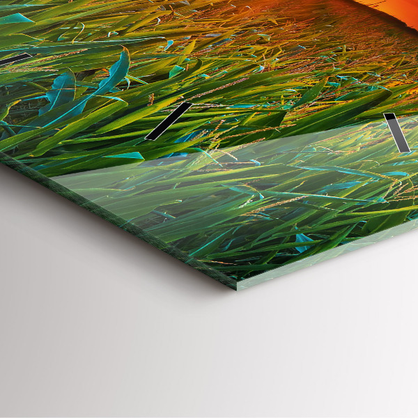 Ceas pătrat de perete din sticlă Floarea soarelui în pajiște