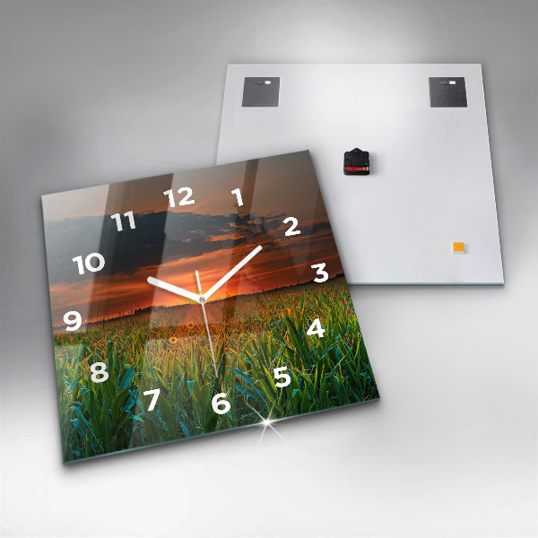 Ceas pătrat de perete din sticlă Floarea soarelui în pajiște