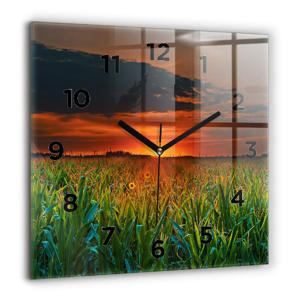 Ceas pătrat de perete din sticlă Floarea soarelui în pajiște