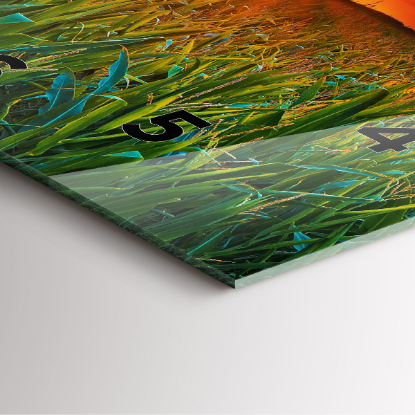 Ceas pătrat de perete din sticlă Floarea soarelui în pajiște