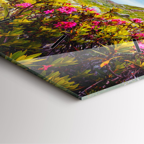 Ceas pătrat de perete din sticlă Ghețarul Mont Blanc Chamonix