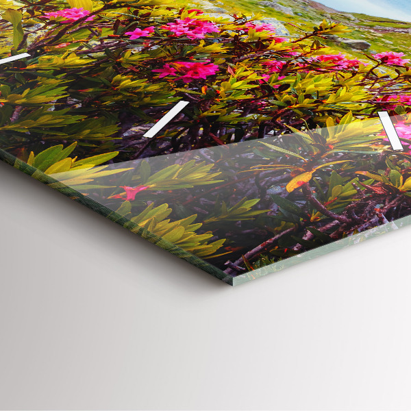 Ceas pătrat de perete din sticlă Ghețarul Mont Blanc Chamonix