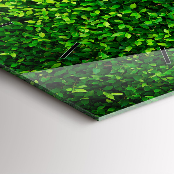 Ceas pătrat de perete din sticlă Frunze de gard viu