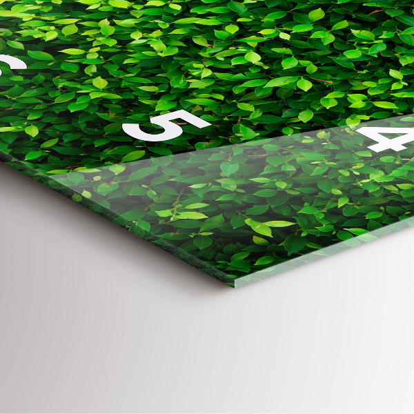 Ceas pătrat de perete din sticlă Frunze de gard viu